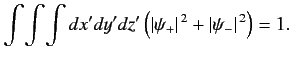 $\displaystyle \int\!\int\!\int dx'dy'dz' \left(\vert\psi_+\vert^{\,2} + \vert\psi_-\vert^{\,2}\right)= 1.$