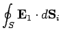 $\displaystyle \oint_{S} {\bf E}_1\cdot d{\bf S}_i$