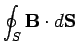 $\displaystyle \oint_S {\bf B}\cdot d{\bf S}$
