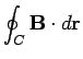 $\displaystyle \oint_C {\bf B}\cdot d{\bf r}$