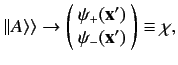 $\displaystyle \vert\vert A\rangle\rangle \rightarrow \left(\! \begin{array}{c}\psi_+({\bf x}') \\ \psi_-({\bf x}')\end{array}\!\right)\equiv \chi,$